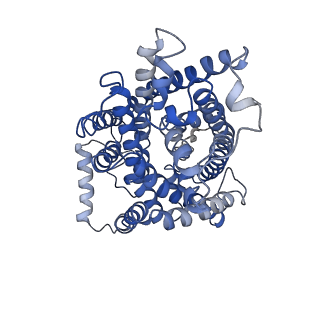 30406_7cmh_B_v1-0
The LAT2-4F2hc complex in complex with tryptophan