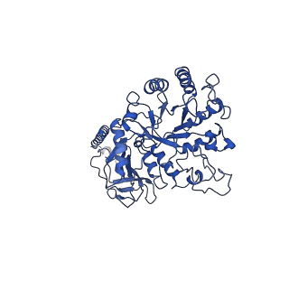 30407_7cmi_A_v1-0
The LAT2-4F2hc complex in complex with leucine