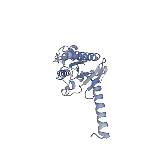 30410_7cmu_A_v1-1
Dopamine Receptor D3R-Gi-Pramipexole complex