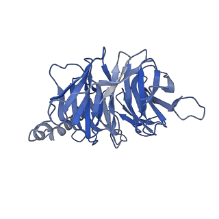 30410_7cmu_B_v1-1
Dopamine Receptor D3R-Gi-Pramipexole complex