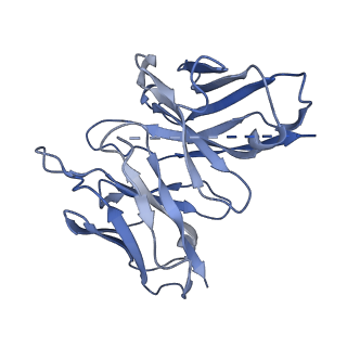 30410_7cmu_E_v1-1
Dopamine Receptor D3R-Gi-Pramipexole complex