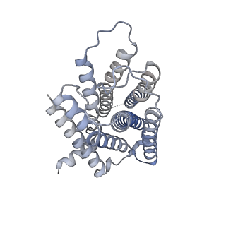 30410_7cmu_R_v1-1
Dopamine Receptor D3R-Gi-Pramipexole complex