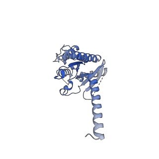 30411_7cmv_A_v1-1
Dopamine Receptor D3R-Gi-PD128907 complex
