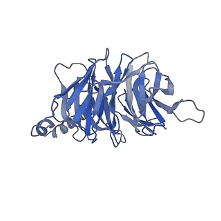 30411_7cmv_B_v1-1
Dopamine Receptor D3R-Gi-PD128907 complex