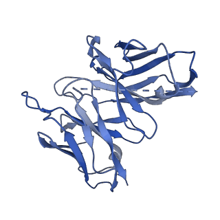 30411_7cmv_E_v1-1
Dopamine Receptor D3R-Gi-PD128907 complex