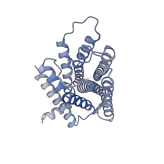 30411_7cmv_R_v1-1
Dopamine Receptor D3R-Gi-PD128907 complex