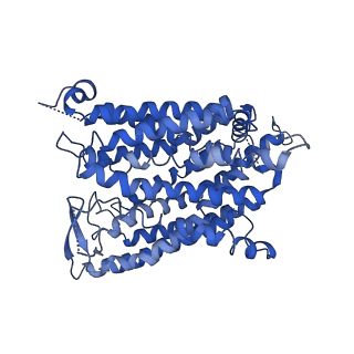 16758_8cni_B_v1-1
PHT1 in the outward facing conformation, bound to Sb27