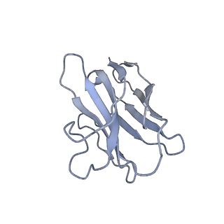 16758_8cni_C_v1-1
PHT1 in the outward facing conformation, bound to Sb27