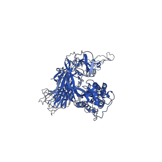 30416_7cn4_A_v1-1
Cryo-EM structure of bat RaTG13 spike glycoprotein