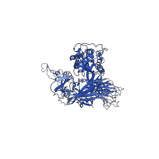 30416_7cn4_B_v1-1
Cryo-EM structure of bat RaTG13 spike glycoprotein