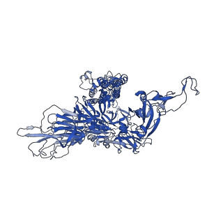 30418_7cn8_C_v1-1
Cryo-EM structure of PCoV_GX spike glycoprotein
