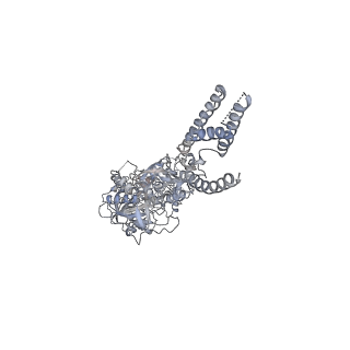 7529_6cna_A_v1-2
GluN1-GluN2B NMDA receptors with exon 5