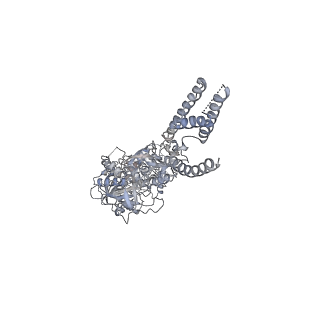 7529_6cna_A_v2-0
GluN1-GluN2B NMDA receptors with exon 5
