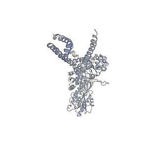 7529_6cna_B_v1-2
GluN1-GluN2B NMDA receptors with exon 5