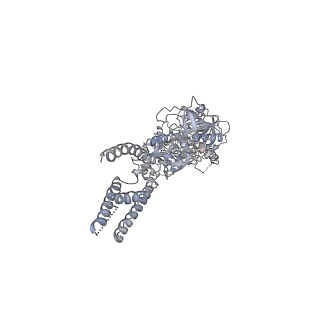 7529_6cna_C_v1-2
GluN1-GluN2B NMDA receptors with exon 5