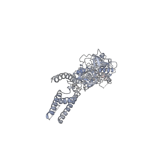 7529_6cna_C_v2-0
GluN1-GluN2B NMDA receptors with exon 5
