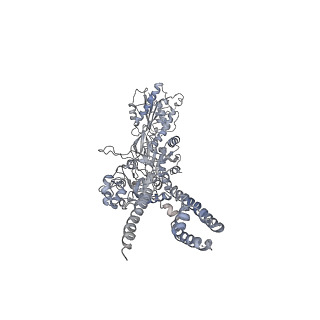7529_6cna_D_v1-2
GluN1-GluN2B NMDA receptors with exon 5