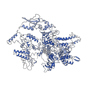 7530_6cnb_A_v1-2
Yeast RNA polymerase III initial transcribing complex