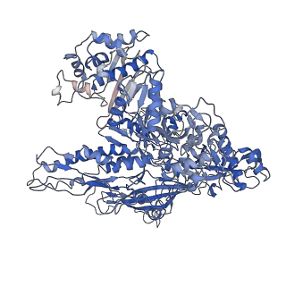 7530_6cnb_B_v1-2
Yeast RNA polymerase III initial transcribing complex