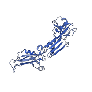 7530_6cnb_C_v1-2
Yeast RNA polymerase III initial transcribing complex