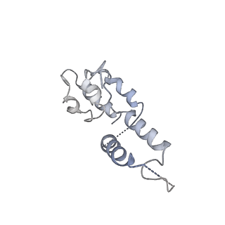 7530_6cnb_D_v1-2
Yeast RNA polymerase III initial transcribing complex