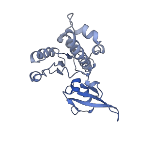 7530_6cnb_E_v1-2
Yeast RNA polymerase III initial transcribing complex