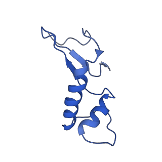 7530_6cnb_F_v1-2
Yeast RNA polymerase III initial transcribing complex