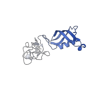 7530_6cnb_G_v1-2
Yeast RNA polymerase III initial transcribing complex