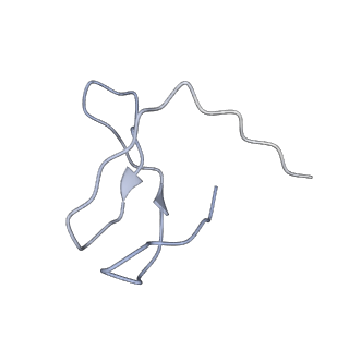 7530_6cnb_I_v1-2
Yeast RNA polymerase III initial transcribing complex