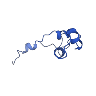 7530_6cnb_J_v1-2
Yeast RNA polymerase III initial transcribing complex