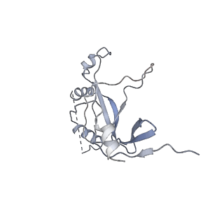 7530_6cnb_M_v1-2
Yeast RNA polymerase III initial transcribing complex