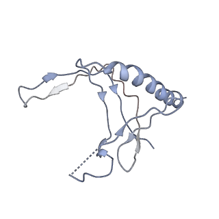 7530_6cnb_N_v1-2
Yeast RNA polymerase III initial transcribing complex
