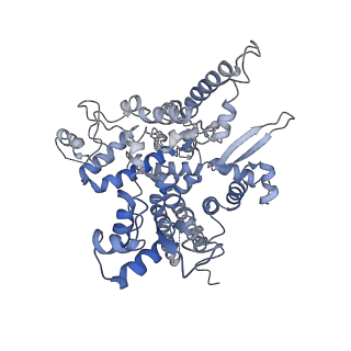 7530_6cnb_O_v1-2
Yeast RNA polymerase III initial transcribing complex