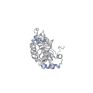 7530_6cnb_P_v1-2
Yeast RNA polymerase III initial transcribing complex