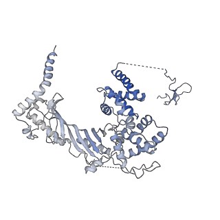 7530_6cnb_R_v1-2
Yeast RNA polymerase III initial transcribing complex