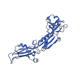 7531_6cnc_C_v1-2
Yeast RNA polymerase III open complex