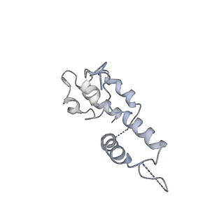 7531_6cnc_D_v1-2
Yeast RNA polymerase III open complex