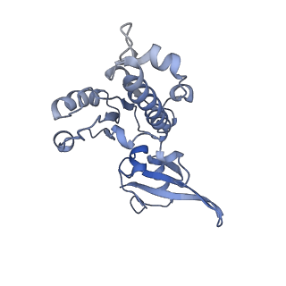 7531_6cnc_E_v1-2
Yeast RNA polymerase III open complex