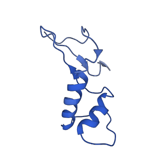 7531_6cnc_F_v1-2
Yeast RNA polymerase III open complex