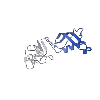 7531_6cnc_G_v1-2
Yeast RNA polymerase III open complex