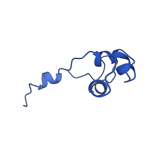 7531_6cnc_J_v1-2
Yeast RNA polymerase III open complex