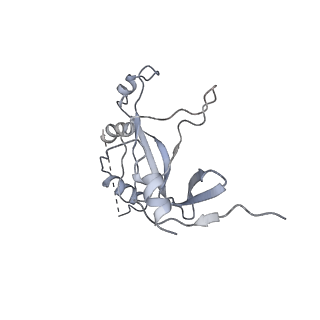7531_6cnc_M_v1-2
Yeast RNA polymerase III open complex
