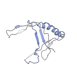 7531_6cnc_N_v1-2
Yeast RNA polymerase III open complex