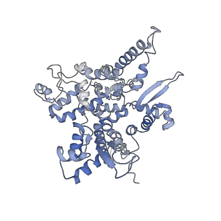 7531_6cnc_O_v1-2
Yeast RNA polymerase III open complex