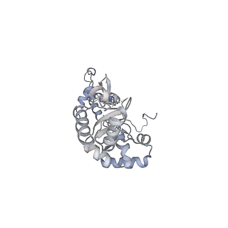 7531_6cnc_P_v1-2
Yeast RNA polymerase III open complex