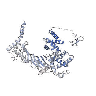 7531_6cnc_R_v1-2
Yeast RNA polymerase III open complex