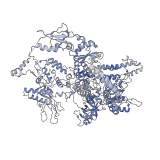7532_6cnd_A_v1-2
Yeast RNA polymerase III natural open complex (nOC)