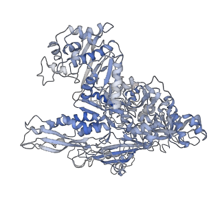 7532_6cnd_B_v1-2
Yeast RNA polymerase III natural open complex (nOC)