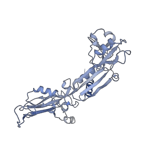 7532_6cnd_C_v1-2
Yeast RNA polymerase III natural open complex (nOC)