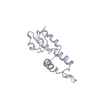7532_6cnd_D_v1-2
Yeast RNA polymerase III natural open complex (nOC)